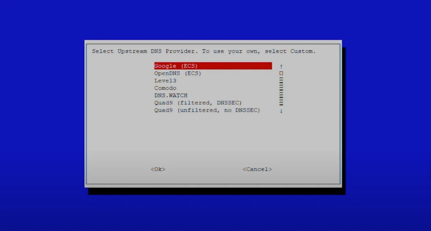 Pi-hole installer running in a terminal on a Raspberry Pi