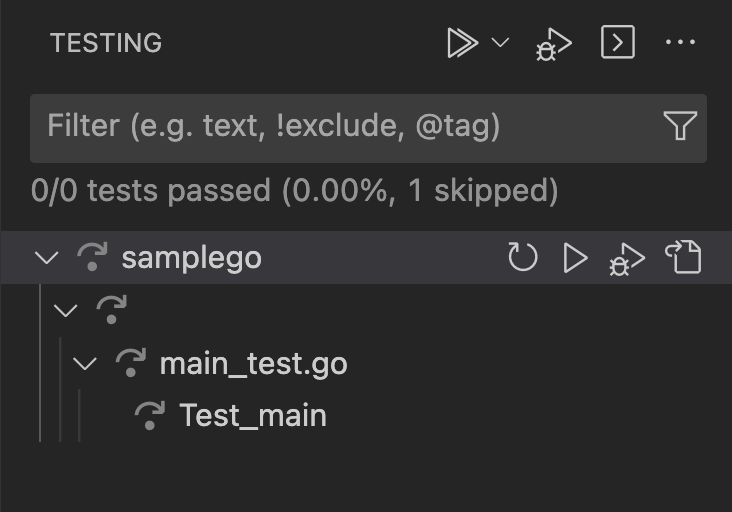 Go test file open in VS Code with the Test UI